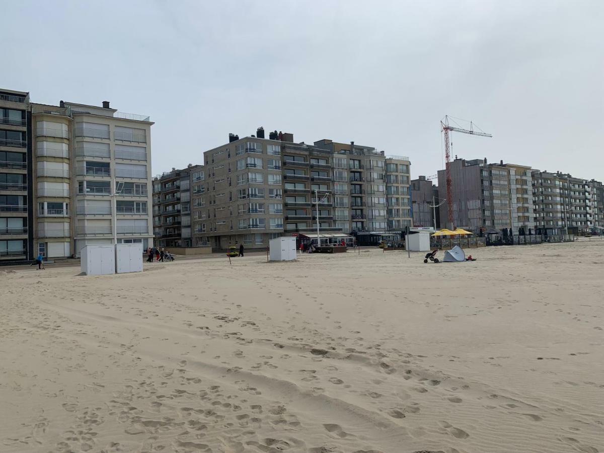 Seashore View